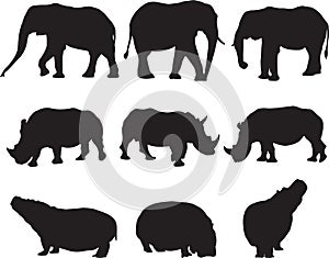 African elephant,white rhinoceros and hippo silhouette contour