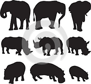 African elephant,white rhinoceros and hippo silhouette contour