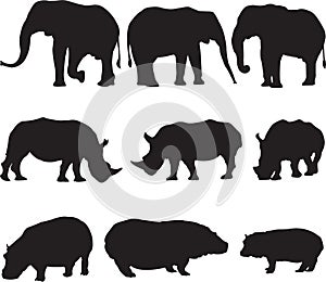 African elephant,white rhinoceros and hippo silhouette contour