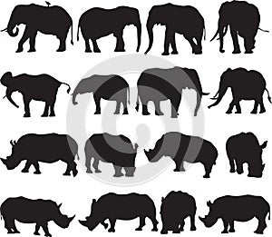 African elephant and white rhinoceros silhouette contour