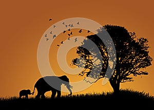 African Elephants Landscape