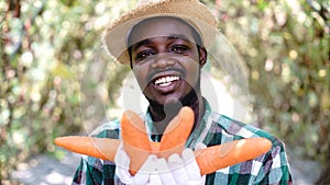 African farmer in hat holds freshly harvested carrots from an organic farm