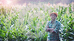 African Farmer with hat stand in the corn plantation field