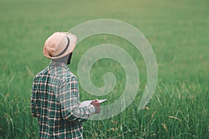 African farmer holding tablet for  research in organic rice field.Agriculture or cultivation concept