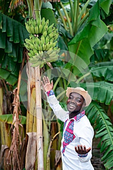 African farmer man standing with banana tree in organic farm.Agriculture or cultivation concept