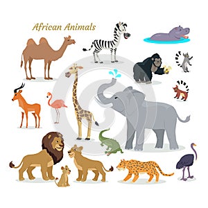 African Fauna Species. Cute Animals Flat Vector.