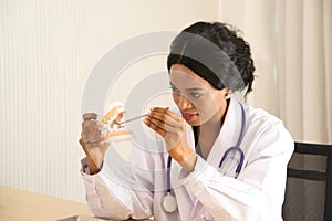 African female dentist holding plastic jaw with orthodontic tools And explained to the male patients.