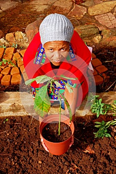 African female planter