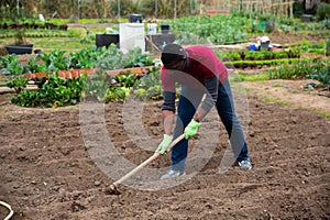 African gardener hoeing soil on vegetable garden