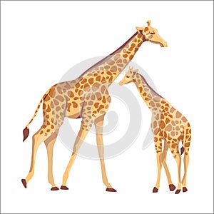 African giraffe mother and her baby. Mammals and care for the offspring. Vector illustration