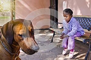 african girl with braids sited on the bench together with her ridgeback dog