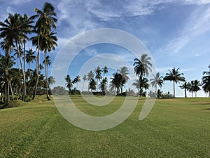 African golf course with palm trees lining the fairway