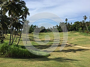 African golf course with palm trees lining the fairway