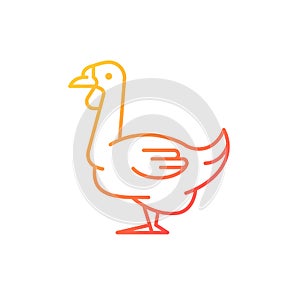 African goose gradient linear vector icon