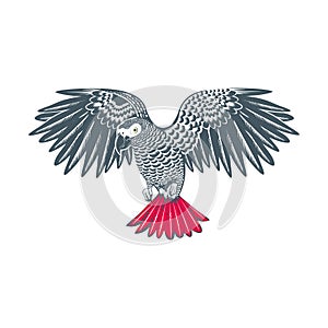 African grey parrot vector logo