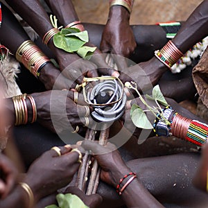 African Hamer bull jumping ceremony