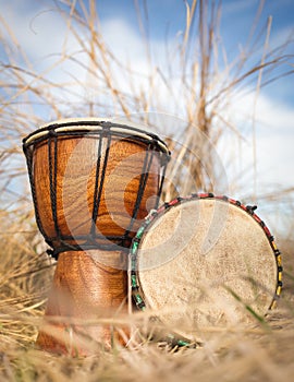 African hand percussion instrument