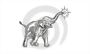 African happy face Elephant. Wild animal on white background vector illustration