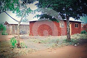 African Houses with trees besides