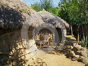 African Huts covered with trees