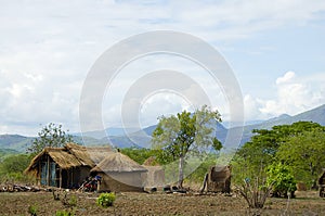 African Huts - Tanzania