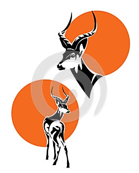 African impala antelope with red sun disk vector design set