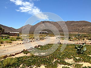 African karoo landscape photo