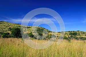 African Landscape photo