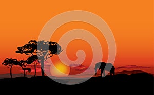 African landscape with animal silhouette. Savanna background