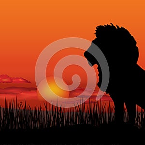 African landscape with animal silhouette. Savanna background