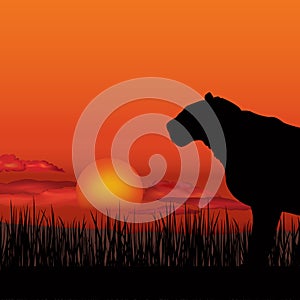 African landscape with animal silhouette. Savanna sunset background.