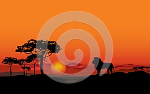 African landscape with animal silhouette. Savanna sunset background.