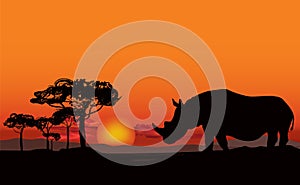 African landscape with animal silhouette. Savanna sunset background.