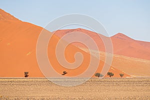 African landscape, beautiful red sand dunes and nature of Namib desert, Sossusvlei, Namibia, South Africa