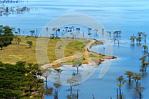 African landscape, bird's-eye view on lake Nakuru