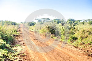 African landscape - dirt road through savanna, Kenya