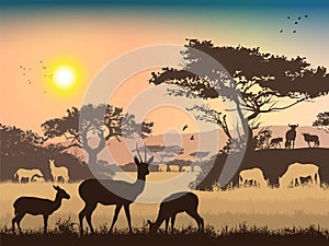 African landscape. Grass, trees, birds, animals silhouettes. Abstract nature background
