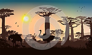 African landscape. Grass, trees, birds, animals silhouettes. Abstract nature background