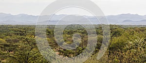 African landscape. Mago National Park. Ethiopia.