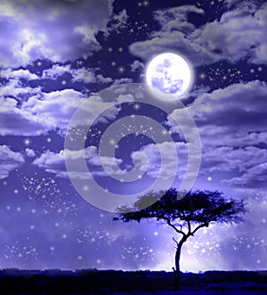 African landscape in moonlight