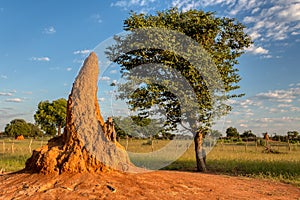 African landscape, Namibia, Africa wilderness photo