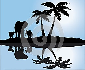 African landscape with reflection