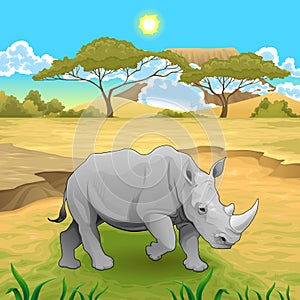 African landscape with rhinoceros. photo