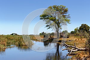 African landscape with river
