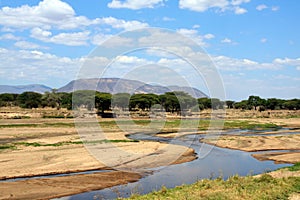 African landscape: Ruaha river in dry season