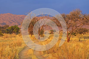 African landscape, savannah during beautiful sunset. Solitaire, Namibia