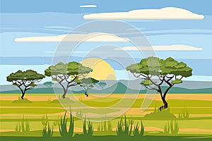 African landscape, savannah, sunset, vector, illustration, cartoon style, isolated photo