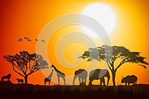 African landscape scene of safari animal savannah silhouette.