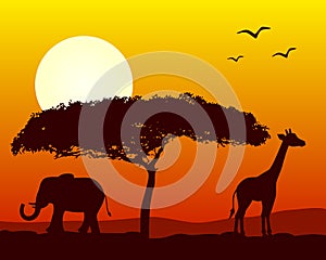 African Landscape at Sunset