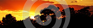 African landscape during sunset - Panoramic